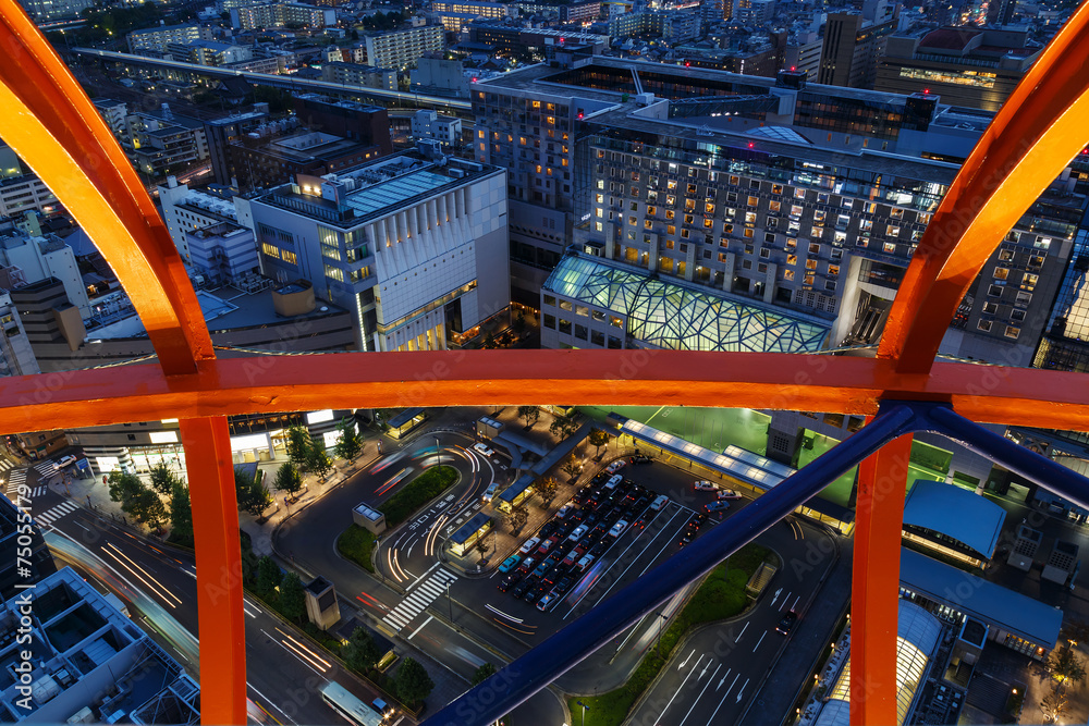 Canvas Prints View from Kyoto Tower