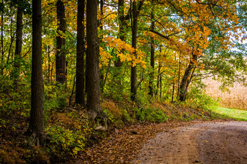 Autumn color along a dirt road in rural York County, Pennsylvani