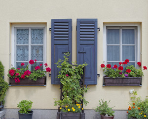 Fototapeta na wymiar picuresque windows and flowers, Altenburg, Germany