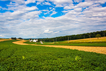 Obraz premium Beautiful farm fields and rolling hills near Cross Roads, Pennsy