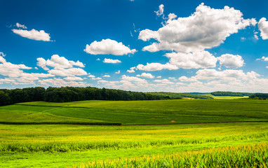 Obraz premium Beautiful summer clouds over fields and rolling hills in Souther