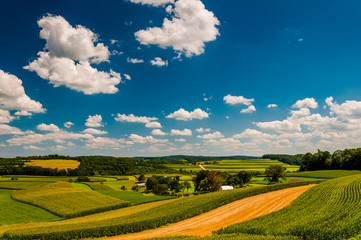 Fototapeta na wymiar Beautiful summer clouds over rolling hills and farm fields in ru