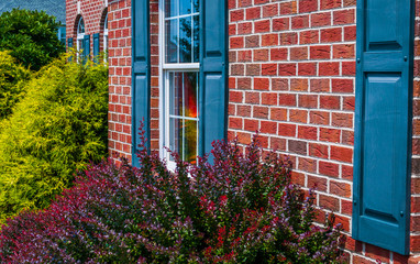 Bushes and front of brick house with blue shutters