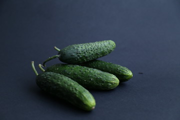 Cucumber