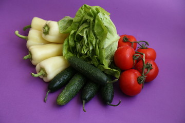 Tomato - Pepper - Cucumber - Lettuce