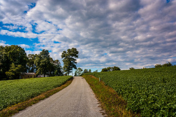 Fototapeta na wymiar Cloudy sky over a country road and farm fields near Cross Roads,