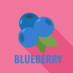 blueberry icon in flat design with long shadows