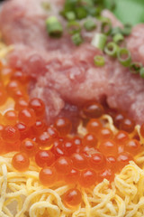 イクラ・ネギトロ丼