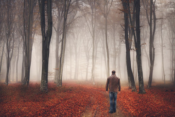 Man walking the trail in a foggy forest during autumn