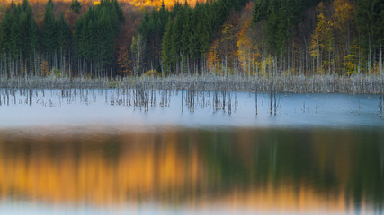 Autumn reflections in the water of a mountain lake