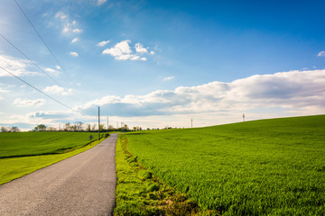 Fototapeta na wymiar Country road through farm fields in rural York County, Pennsylva