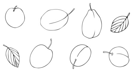 Delightful garden - plum 1