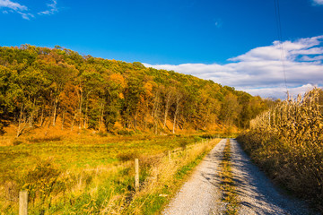 Fototapeta na wymiar Dirt country road in rural York County, Pennsylvania.