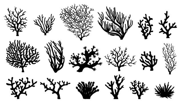 coral silhouettes