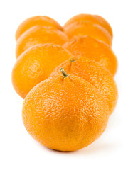 Tangerines