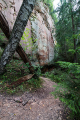 ancient sandstone cliffs in the Gaujas National Park, Latvia