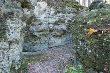 ancient sandstone cliffs in the Gaujas National Park, Latvia