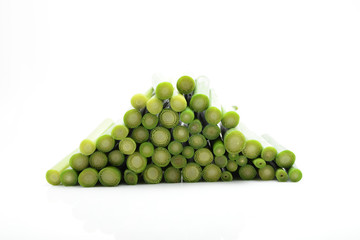 galanga tree on white background