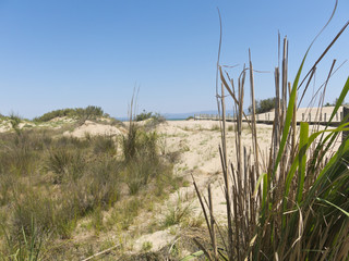 Beach in the Delta of Ebro