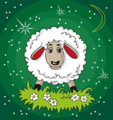 sheep and stars