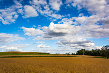 Fototapeta na wymiar Farm field in rural York County, Pennsylvania.