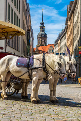 Naklejka na ściany i meble Horse carriages in Dresden, Germany