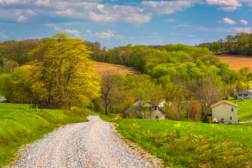Fototapeta na wymiar Farm fields along a dirt road in rural York County, Pennsylvania