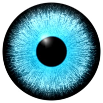 Illustration of a blue eye with light reflection