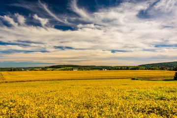 Farm fields and rolling hills in rural York County, Pennsylvania