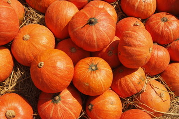 Pumpkins