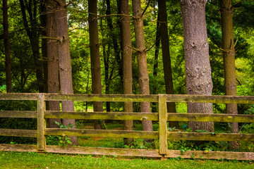 Fence and trees in rural York County, Pennsylvania.