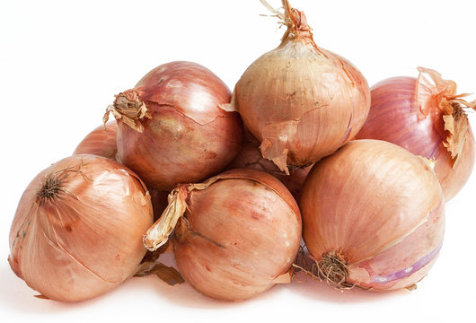 Oignons ros&eacute;s de Roscoff - Allium cepa - sur fond blanc