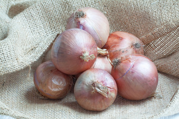 Oignons rosés de Roscoff - Allium cepa - sur toile de jute