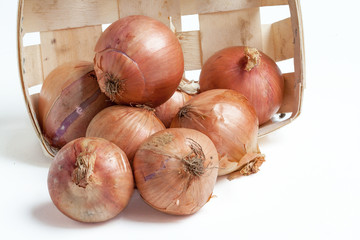 Oignons ros&eacute;s de Roscoff - Allium cepa - sur fond blanc