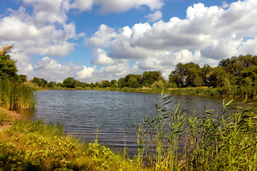 Summer landscape with lake