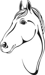 black and white outlines of horse head in skertch style