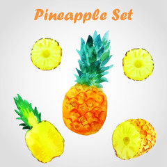 Pineapple Set