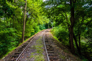 Obraz premium Railroad tracks through a forest in York County, Pennsylvania.