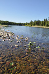 Pebble river in the Urals.