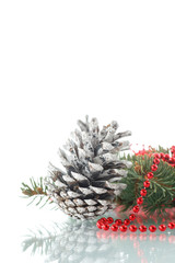 Christmas fir-cone with fir branches