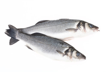 Two fresh fish on a light background.