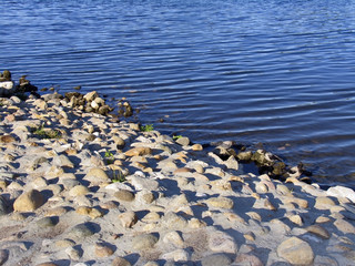 Rocky shore of river. Water's edge