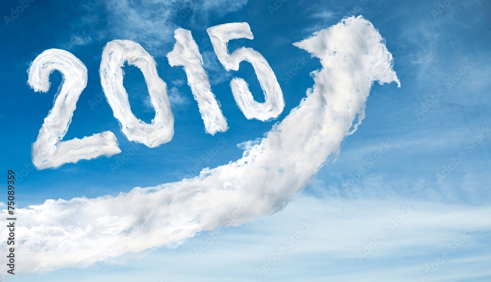 Poster composite image of 2015