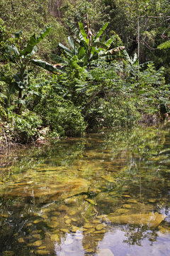 Natural Park El Cubano. Cuba