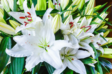 Obraz premium Amaryllis flowers bouquet