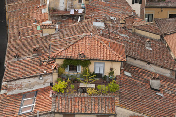 Obraz premium Lucca roof tile of residential house