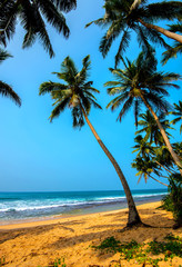 Obraz premium Sri Lanka