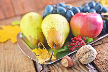 autumn harvest