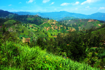 Fototapeta premium Sri Lanka