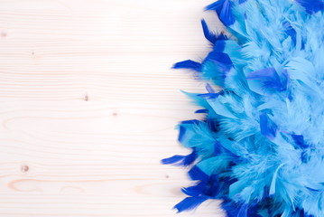 blue feather boa on light board on the left with space for text